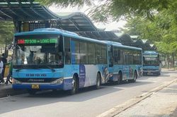 Transerco vận hành khoảng 31.000 lượt xe buýt dịp Tết Dương lịch 2024