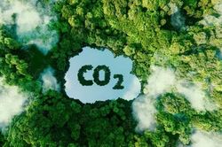 Ngành nông nghiệp ký văn bản chuyển giao 10,3 triệu tấn CO2 cho WB