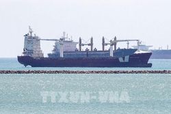 Các hãng tàu biển rục rịch trở lại khu vực Biển Đỏ