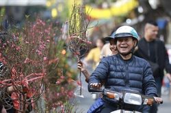 Hà Nội tổ chức 83 điểm chợ hoa Xuân phục vụ Tết Nguyên đán Giáp Thìn 2024