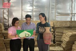 Nghị quyết 11 'tiếp sức' cho người dân khôi phục kinh tế