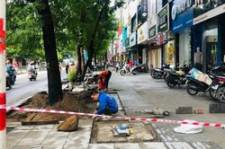 Yêu cầu dừng thi công vỉa hè, đào đường để người dân đón Tết