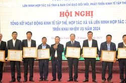 Phó Chủ tịch UBND tỉnh: Phát triển kinh tế tập thể, hợp tác xã là xu thế tất yếu