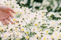 Hẹn hò với mùa đông