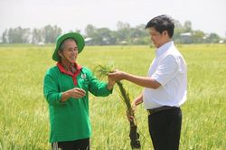 Nông nghiệp Đồng Tháp chuyển dịch tăng trưởng theo chiều sâu