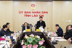 Thường trực Tỉnh ủy làm việc với Ban Cán sự Đảng UBND tỉnh