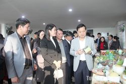 Tuyên Quang phấn đấu hết năm 2025 tất cả các xã, phường, thị trấn đều có sản phẩm OCOP đạt hạng 3 sao trở lên