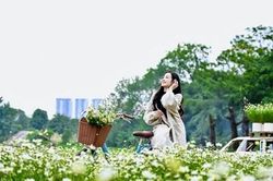 Thời tiết hôm nay (29-12): Miền Bắc rét khô, Trung Bộ có mưa lớn