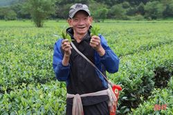 Tin mới nhất về thời tiết Hà Tĩnh dịp Tết Dương lịch