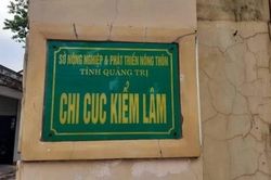 Khởi tố nguyên Chi Cục trưởng Chi cục Kiểm lâm tỉnh Quảng Trị