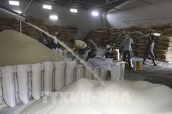 Ấn Độ: Tác động tới thị trường toàn cầu và an ninh lương thực