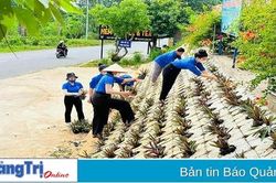 Tạo tiền đề vững chắc để đưa thị trấn Krông Klang phát triển bền vững