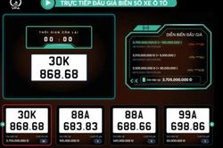 Kết quả đấu giá biển số xe ô tô ngày 29/12: Biển 'phát lộc' của Hà Nội dành giải 'quán quân'