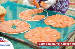 Nâng cao giá trị sản vật biển