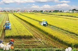 Giúp người nông dân tiếp cận tín dụng thuận lợi hơn