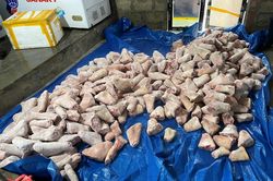 Ngăn chặn thực phẩm bẩn dịp cuối năm