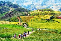 Lào Cai: Các cơ sở lưu trú sẵn sàng đón khách trong kỳ nghỉ tết Dương lịch 2024
