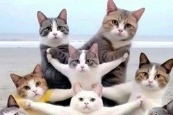 Truyện cười: Nghe lời ông nội dặn chớ có sai bao giờ
