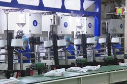 Nhìn lại kinh tế Việt Nam 2023 | Thủ đô và thế giới | 30/12/2023