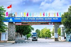 Lãi sau thuế 9 tháng đạt hơn 1.535 tỷ đồng, Đường Quảng Ngãi (QNS) dự chi gần 357 tỷ đồng trả cổ tức đợt 2/2023