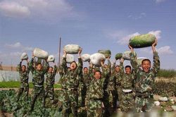 Truyện ngắn: Mùa Đông nơi doanh trại