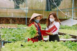 Nông nghiệp, nông thôn là lĩnh vực có tăng trưởng tín dụng ở mức cao