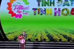 Tỉnh Đồng Tháp: Khai mạc Festival Hoa - Kiểng Sa Đéc