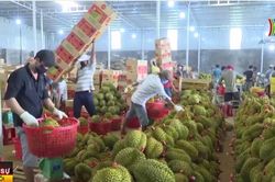 Những điểm sáng kinh tế Việt Nam 2023
