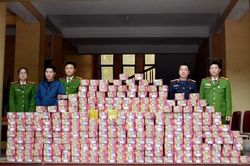Giấu hơn 720 kg pháo trong hầm bí mật sau tủ quần áo