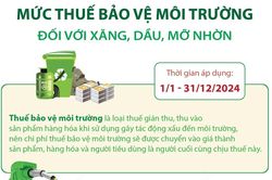 Mức thuế bảo vệ môi trường đối với xăng, dầu, mỡ nhờn từ 1/1/2024