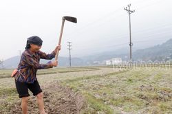 Nông dân tích cực xuống đồng sản xuất ngày đầu năm