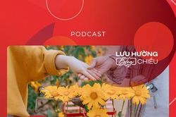 Hoa đợi mùa về
