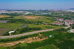 Kiến nghị không đấu thầu dự án chưa giải phóng mặt bằng