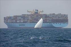 Hãng Maersk tiếp tục duy trì hoạt động vận tải qua kênh đào Suez và Biển Đỏ