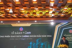 Phấn đấu nâng hạng chứng khoán trong năm 2024