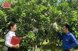 Tạo điều kiện cho người dân tiếp cận nguồn vốn thuận lợi