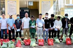 Gia Lai: Hơn 45,8 tỷ đồng tổ chức các hoạt động phục vụ Tết Nguyên đán Giáp Thìn
