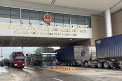Kim ngạch xuất - nhập khẩu ngày đầu tiên năm 2024 đạt gần 1,5 triệu USD