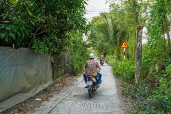 Lái xe sau khi uống rượu, bia: Chuyện cũ vẫn mới