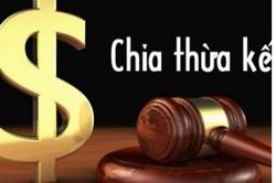 Đang ở nước ngoài, giải quyết tranh chấp thừa kế thế nào?