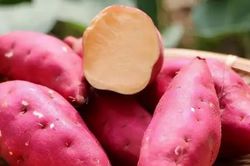 Người ăn khoai lang thường xuyên vào bữa sáng cần lưu ý điều này