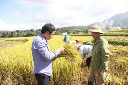 Lai Châu: Chú trọng phát triển công nghiệp gắn với bảo vệ môi trường