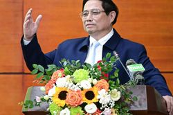 Thủ tướng: Ngành nông nghiệp cần mạnh mẽ, quyết đoán hơn, đặt ra mục tiêu cao hơn