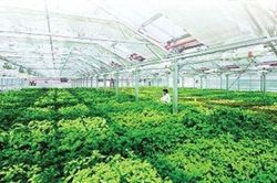 Vì một nền nông nghiệp xanh