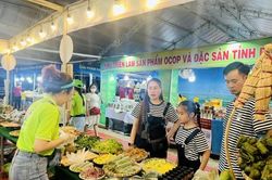 Chuẩn bị tốt các điều kiện phục vụ nhân dân đón Tết Nguyên đán Giáp Thìn