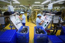 Thu hút FDI tiếp tục là điểm sáng trong năm 2024