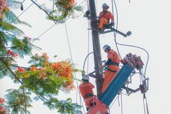Khẩn trương nghiệm thu Nhiệt điện Thái Bình 2 để cung ứng điện cho mùa khô 2024