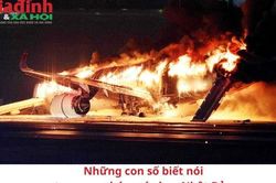 Những con số thống kê trong vụ máy bay rơi tại Nhật Bản