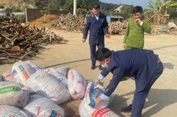 Vận chuyển 1 tấn thịt bò bốc mùi