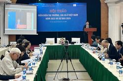 Ba kịch bản lạm phát năm 2024